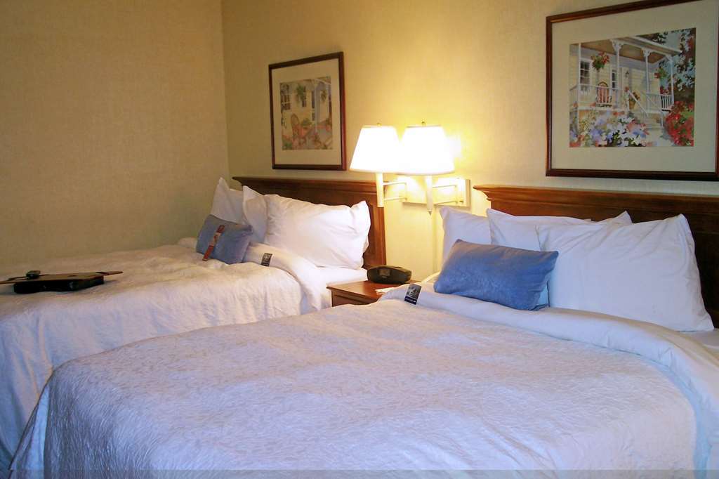 Hampton Inn Salem East - Electric Road Pokoj fotografie